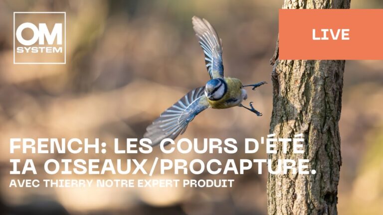 Am&eacute;liorez vos comp&eacute;tences photographiques avec des tutoriels d’appareils d’occasion