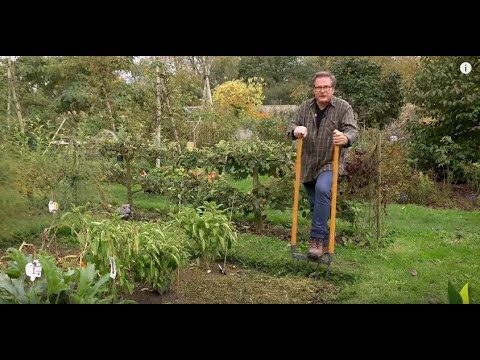 Les Meilleurs Accessoires de Jardin Écologiques pour un Espace Vert Durable