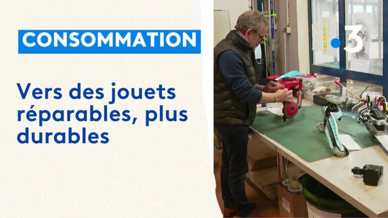 Les tendances &eacute;mergentes des jouets durables