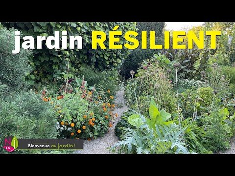 Pratiques de Jardinage Durable et &Eacute;cologique