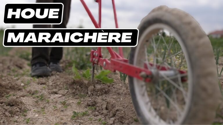 Guide pratique pour entretenir vos outils de jardinage d’occasion