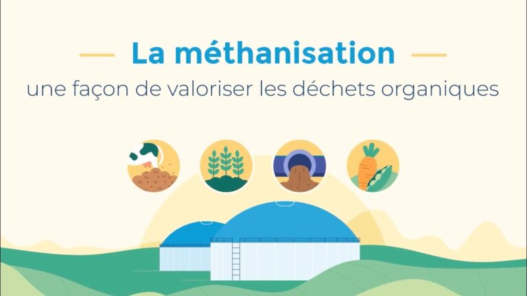 Comparaison des Prix du Mat&eacute;riel de Sport Recycl&eacute;